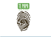 Image of Te Papa logo